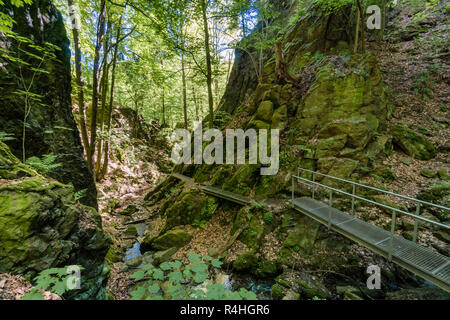 Solmsdorfer dans la gorge de NSG Rabenauer, Solmsdorfer raison NSG Klamm im Grund Rabenauer Banque D'Images