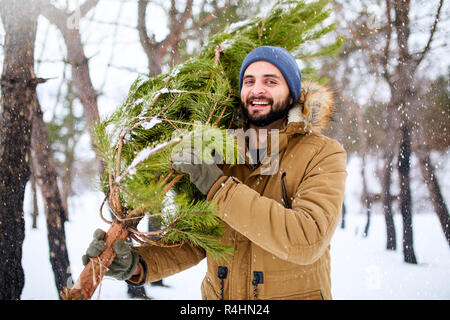 Homme barbu portant des arbres de Noël fraîchement coupés dans la forêt. Les jeunes ours bûcheron sapin sur son épaule dans les bois. Comportement irresponsable envers la nature, sauver la forêt, gardez green concept. Banque D'Images