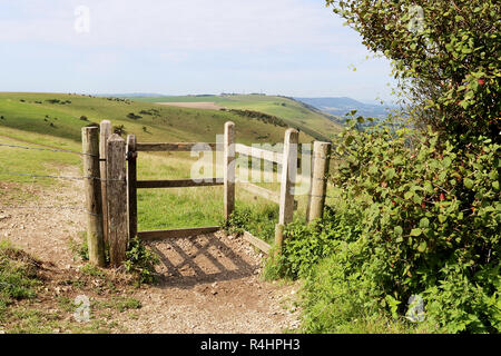 Embrassant un embarquement au Devil's Dyke sur les South Downs près de Brighton, Sussex Banque D'Images