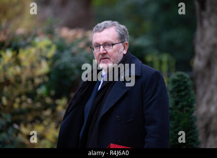 David Mundell,secrétaire d'État pour l'Écosse, à Downing Street pour une réunion du Cabinet. Il a présenté une lettre au PM au sujet de droits de pêche écossais. Banque D'Images