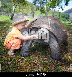 Tortue géante d'Aldabra et de l'enfant Banque D'Images