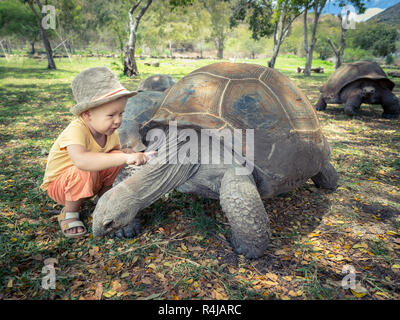 Tortue géante d'Aldabra et de l'enfant Banque D'Images