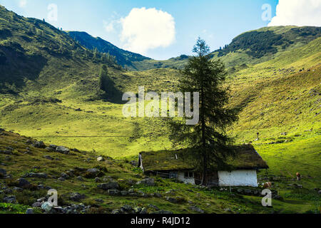 Belle vue sur montagne , Henne sentier vers le lac Wildsee dans les Alpes autrichiennes de Larchfilzkogelof la station de télécabine, Fieberbrunn, Tyrol, Autriche Banque D'Images