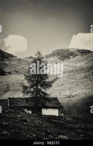 Belle vue sur montagne , Henne sentier vers le lac Wildsee dans les Alpes autrichiennes de Larchfilzkogelof la station de télécabine, Fieberbrunn, Tyrol, Autriche Banque D'Images