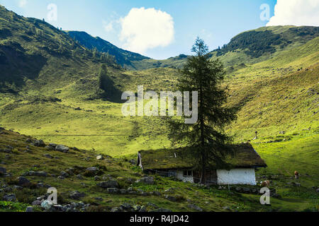 Belle vue sur montagne , Henne sentier vers le lac Wildsee dans les Alpes autrichiennes de Larchfilzkogelof la station de télécabine, Fieberbrunn, Tyrol, Autriche Banque D'Images