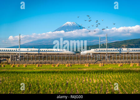 Mt. Fuji avec train Shinkansen et champ de riz à Shizuoka, Japon. Banque D'Images