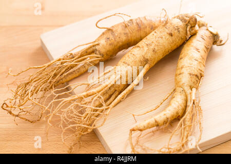 Korean Ginseng frais sur fond de bois Banque D'Images