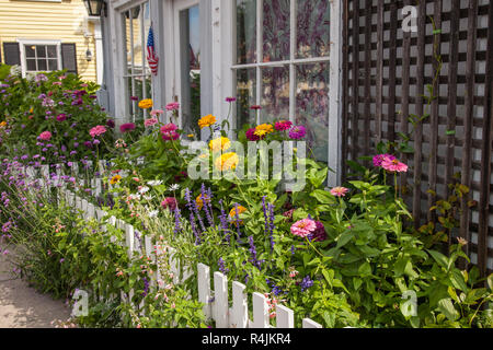 Fleurs le long de la Gatineau, MA Street Banque D'Images