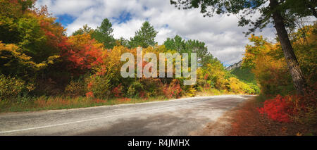 Chemin de ronde route goudronnée à travers les magnifiques forêts d'automne. Composition panoramique Banque D'Images