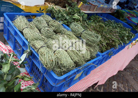 Des herbes fraîches - marché le dimanche à Buenos Aires autour de la basilique Banque D'Images