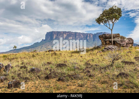 Tablemountain Roraima avec les nuages, le Venezuela, l'Amérique latine. Banque D'Images