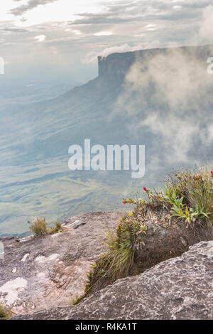 Vue depuis le Roraima tepui sur Kukenan tepui au mist - Venezuela, Amérique du Sud Banque D'Images