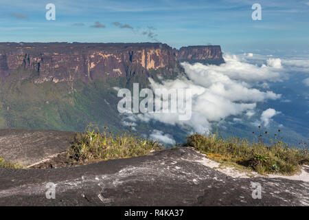 Vue depuis le Roraima tepui sur Kukenan tepui au mist - Venezuela, Amérique du Sud Banque D'Images