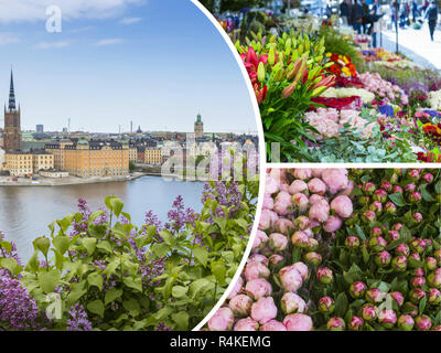 Collage de Stockholm ( Suède ) - arrière-plan des images de voyage (mes photos) Banque D'Images