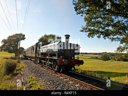 Classe 16xx 0-6-0 transporte un réservoir pannier loco vapeur train jusqu'à la pente entre Rolvenden et sur l'Ashford Kent & East Sussex Railway, UK Banque D'Images