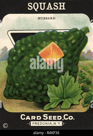 Légumes courges Label. Banque D'Images