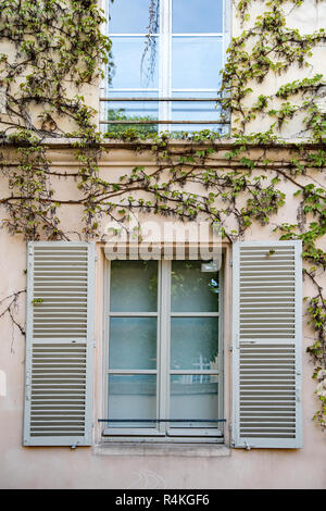 Windows Paris Banque D'Images