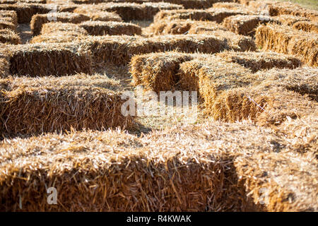 Eco clear hay bale Banque D'Images