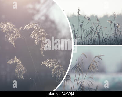 Collage de l'hiver en Pologne. Banque D'Images