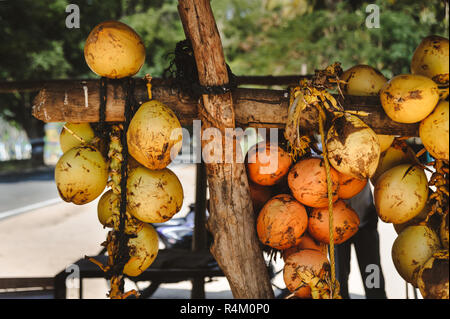 Photo d'une bande de voile jaune coco Banque D'Images