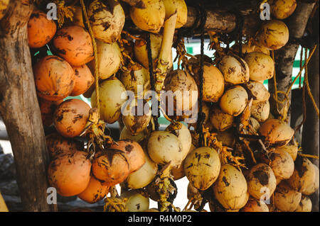 Photo d'une bande de voile jaune coco Banque D'Images