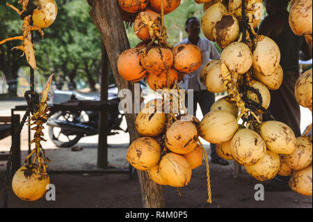 Photo d'une bande de voile jaune coco Banque D'Images