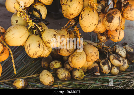 Photo d'une bande de voile jaune coco Banque D'Images