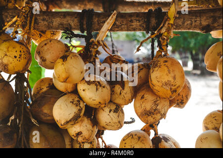 Photo d'une bande de voile jaune coco Banque D'Images