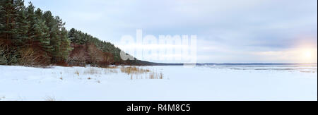 Journée d'hiver sur la rive enneigée de Narva Bay. La neige sur la glace du golfe de Finlande gelés. Narva-Joesuu resort town en Estonie Ida-Virumaa. Le Nord de l'hiver sévère et temps de neige. Forêt de pins, pin Banque D'Images