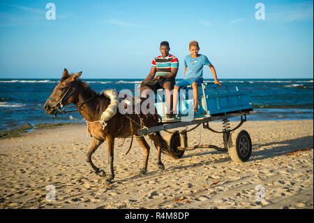 Fernando Machado, BRÉSIL - circa 2018, février : une mule tire un panier en bois le long de la côte nord-est de la plage. Banque D'Images