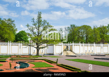 Vieux Chêne dans le Parc Kadriorg, Tallinn, Estonie. Banque D'Images