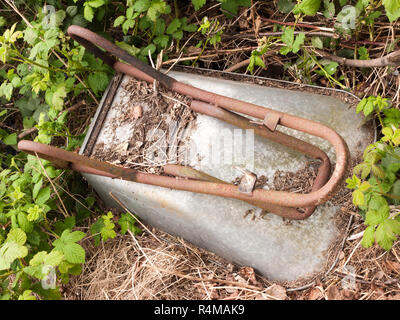 Une tête en bas rouillé et jeté jeté à la brouette en métal et en décomposition sur le sol de jardinage plantation d'allotissement conception ornement growing Banque D'Images