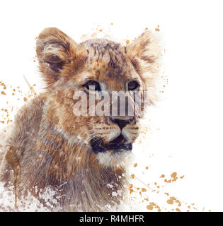 Jeune Lion aquarelle Banque D'Images