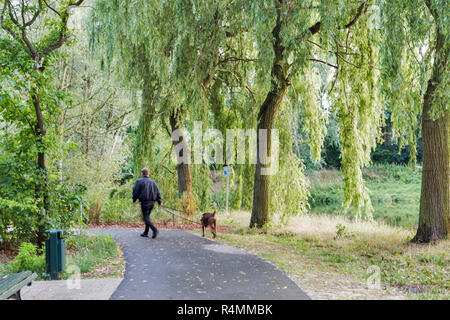 Un homme avec un chien marche dans un parc ensoleillé. Parc avec sentier pédestre, banc, lac. Un homme avec un chien en laisse est à pied. Floue. Banque D'Images