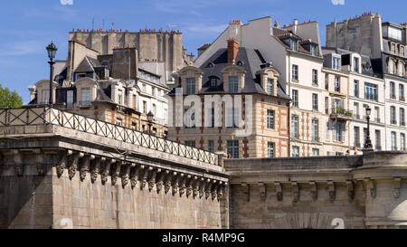 Les palais et les toits de Paris Banque D'Images