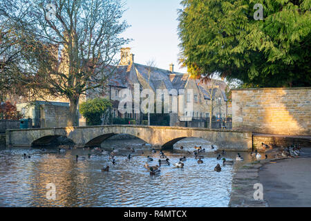 Rivière windrush en Bourton sur l'eau tôt le matin de l'automne. Kingham, Cotswolds, Gloucestershire, Angleterre Banque D'Images