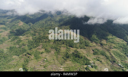 Vue aérienne des rizières en terrasses sur les pentes de la montagne, À Banaue, Philippines. La culture du riz dans le Nord Batad. Forêt, Montagnes couvertes d'arbres. Cordillères des Philippines. Banque D'Images