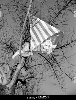 Un jeune garçon tente de récupérer son cerf-volant d'un arbre en Californie, ca. 1955. Banque D'Images