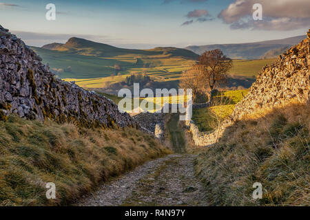 S'installer dans les vallées du Yorkshire avec une femelle Walker Hill près du village de Stainforth Banque D'Images