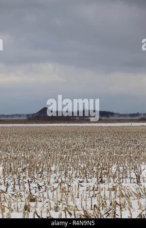 Champ de maïs de l'Illinois après récolte de maïs a été récolté. Banque D'Images