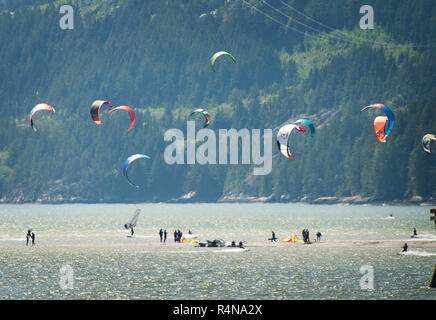 Kite pensionnaires sont sur un banc de sable près de Squamish Terminals. Un très exposés à marée basse le normalement submergées de sable. Samedi 27 Mai, 2017. Phot Banque D'Images