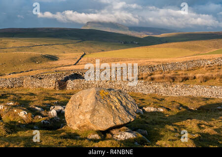 S'installer dans les vallées du Yorkshire avec une femelle Walker Hill près du village de Stainforth Banque D'Images