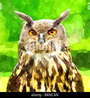 Eagle owl peinture Banque D'Images