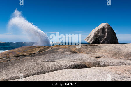 Évent Bicheno, Bay of fires, la Tasmanie. Capturés à l'apogée de la courbe côtes déchirées. Banque D'Images