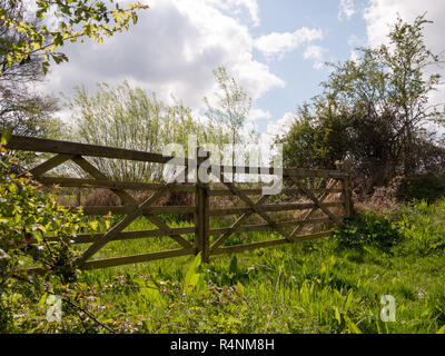 Une glorieuse et magnifique porte en bois et clôture dans la campagne en fermant l'un champ avec de l'herbe luxuriante et les plantes autour d'elle et arbres Banque D'Images