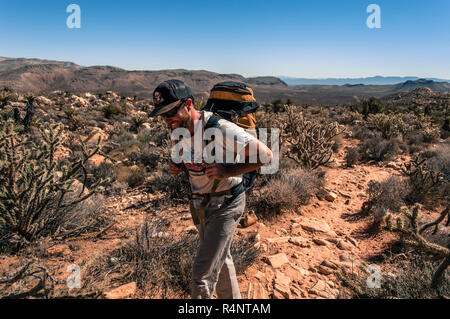 Voir jeune homme aventureux de randonnées dans le désert, le parc national de Red Rock, Nevada, USA Banque D'Images