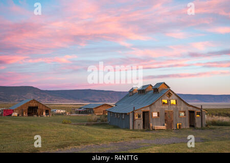 Une ancienne grange située dans un champ d'herbe sous un coucher de soleil rose et bleu ciel, été Lac, Oregon, USA Banque D'Images