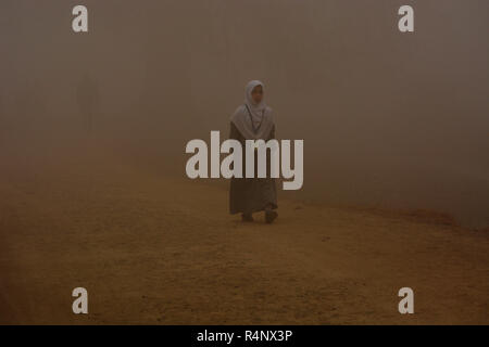 Srinagar, Jammu-et-Cachemire, en Inde. 27 Nov, 2018. Une fille du Cachemire au cours de promenades un froid matin brumeux à Srinagar, la capitale d'été du Cachemire indien. Credit : Masrat Zahra/ZUMA/ZUMAPRESS.com/Alamy fil Live News Banque D'Images
