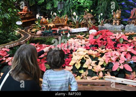 (181128) -- WASHINGTON, 28 novembre 2018 (Xinhua) -- les enfants, visitez le 'Season's Greenings : Tout le monde à bord !" au salon d'United States Botanic Garden(USBG) à Washington, DC, États-Unis, le 27 novembre, 2018. Cette année, la maison de vacances USBG pièce 'Season's Greenings : Tout le monde à bord !" se déroule du 22 novembre 2018 au 1er janvier 2019. De nombreuses reconstitutions à base de plantes de gares emblématiques de tout le pays comme New York City's Grand Central Terminal et du détroit Michigan Central Station sont exposées dans la salle. (Xinhua/Liu Jie) (aa) Banque D'Images