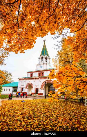 28 novembre 2018 - Kolomenskoïe, Kolomenskoïe, Chine - MOSCOU, RUSSIE - paysage de parc Kolomenskoye à Moscou, Russie. Kolomenskoye Park est un ancien domaine royal situé à quelques kilomètres au sud-est du centre-ville de Moscou, Russie, sur l'ancienne route menant à la ville de Kolomna (d'où le nom). La zone panoramique de 390 hectare donne sur le rives escarpées de la rivière Moskova. Il est devenu une partie de Moscou dans les années 1960 (Image Crédit : © SIPA l'Asie via Zuma sur le fil) Banque D'Images